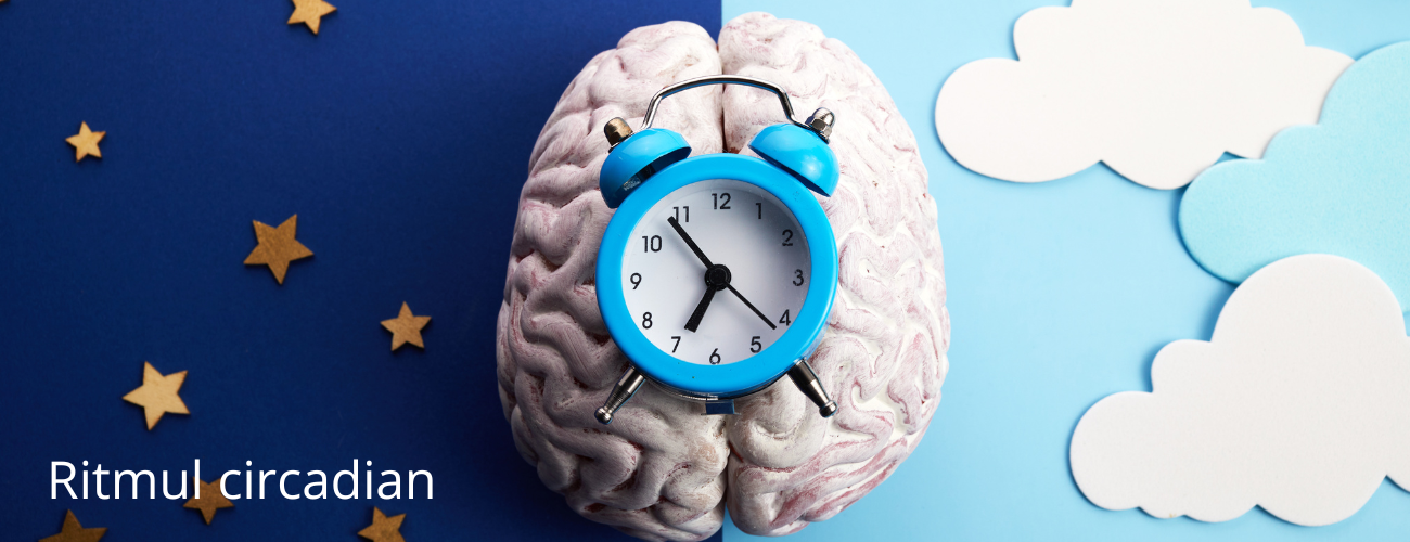 ritm circadian, ceas biologic